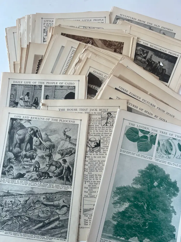 100 Antique Book Page Prints. c1912- Ephemera. Lithographs, Engravings, Graphics, Crafting, Scrapbooking, Bulk #8