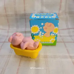 Pig soap set