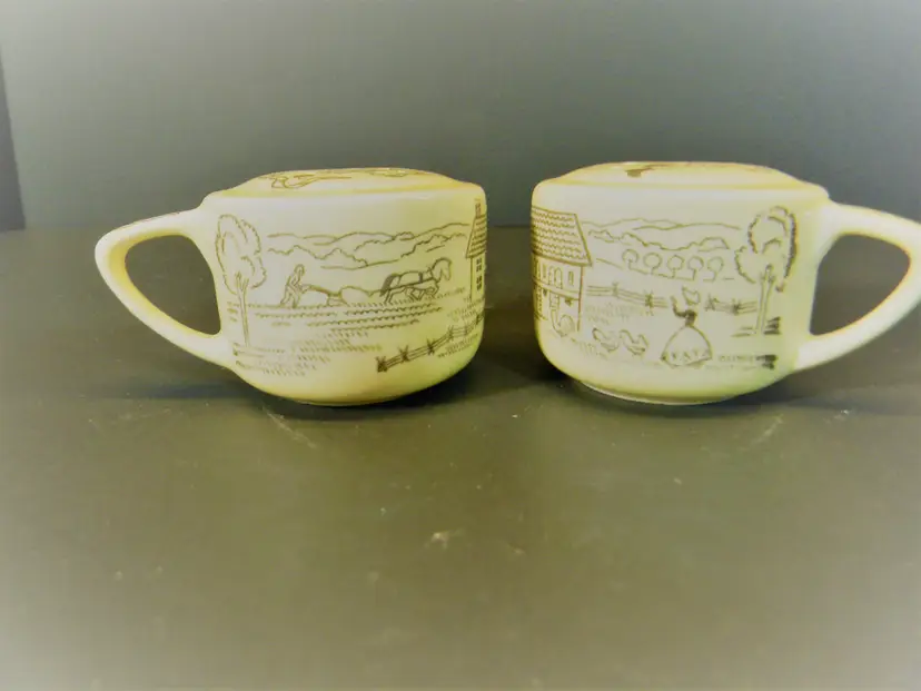 Salt and Pepper Shaker Light Yellow in Color from Royal China