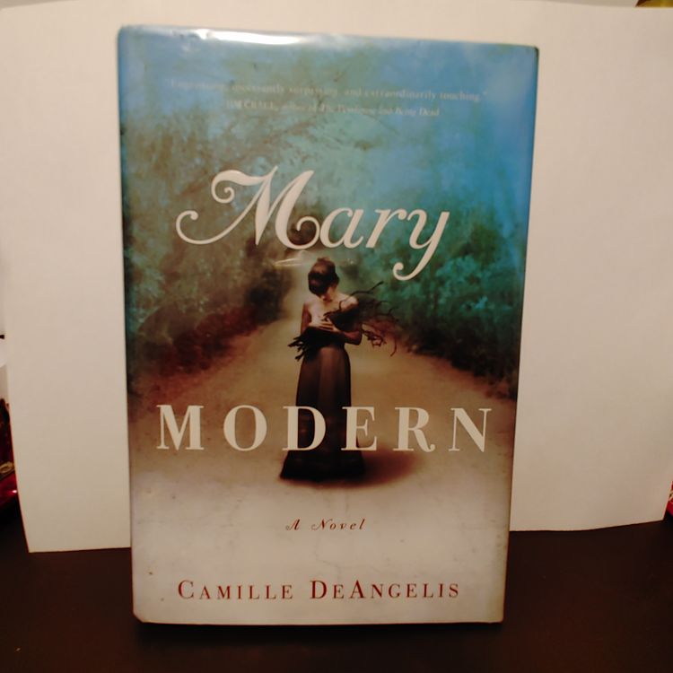 Mary Modern by Camille DeAngelis. Former library book. Published 2007