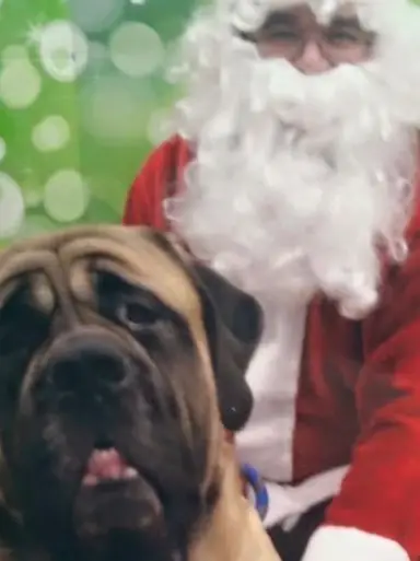 Christmas & Vintage Gift giving !!