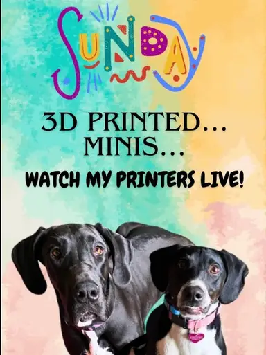 3D Printed Minis And More!! 