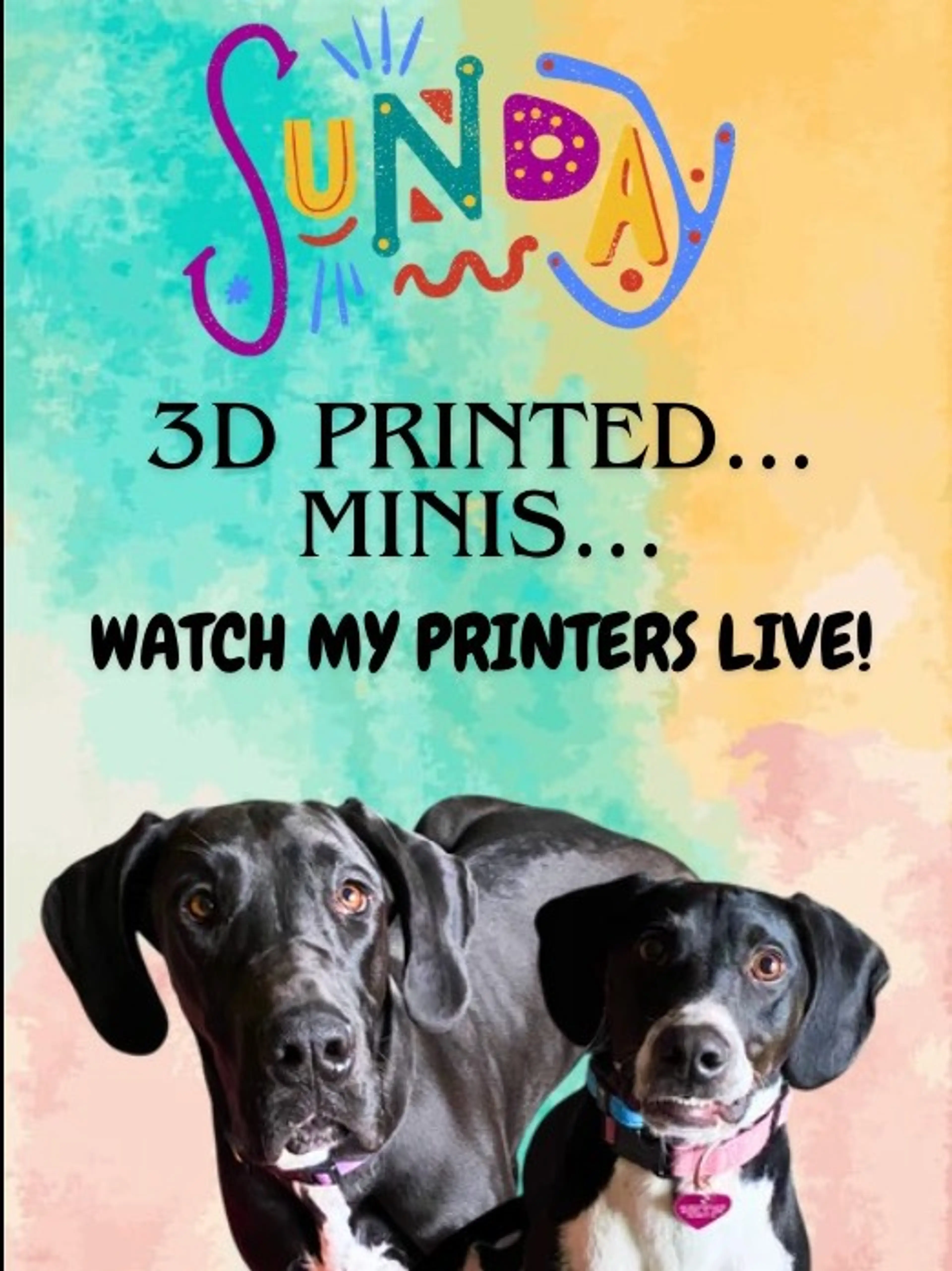 3D Printed Minis And More!! 