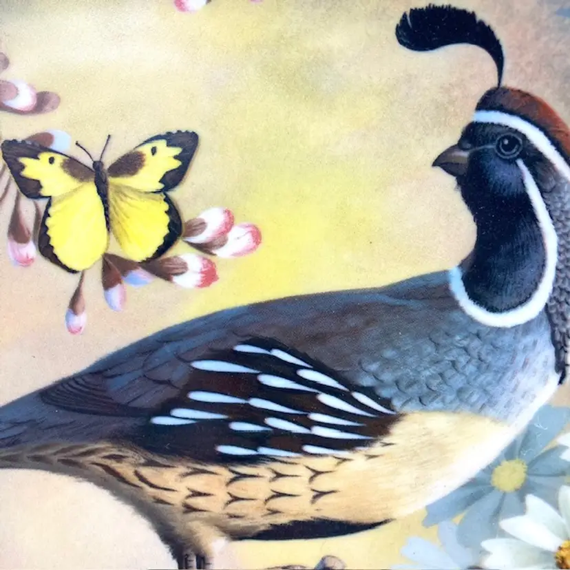Gambel Quail World of Game Birds Plate by Larry Toschik Series #3,397 of 5000