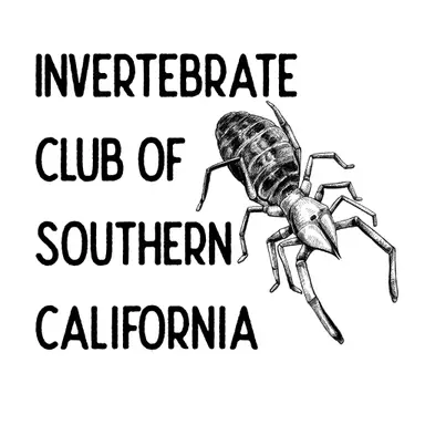 Invertebrate Club of Southern California