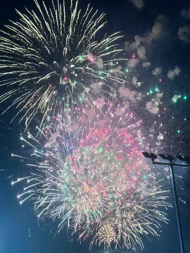 Items From Goodwill And Auction