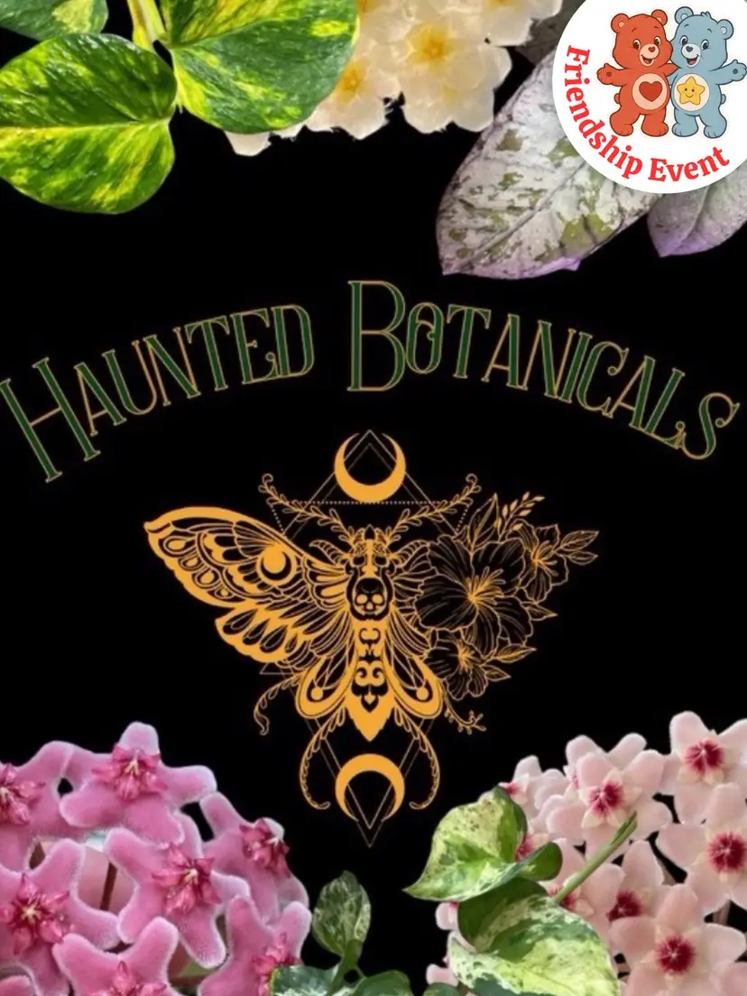 Livestream thumbnail