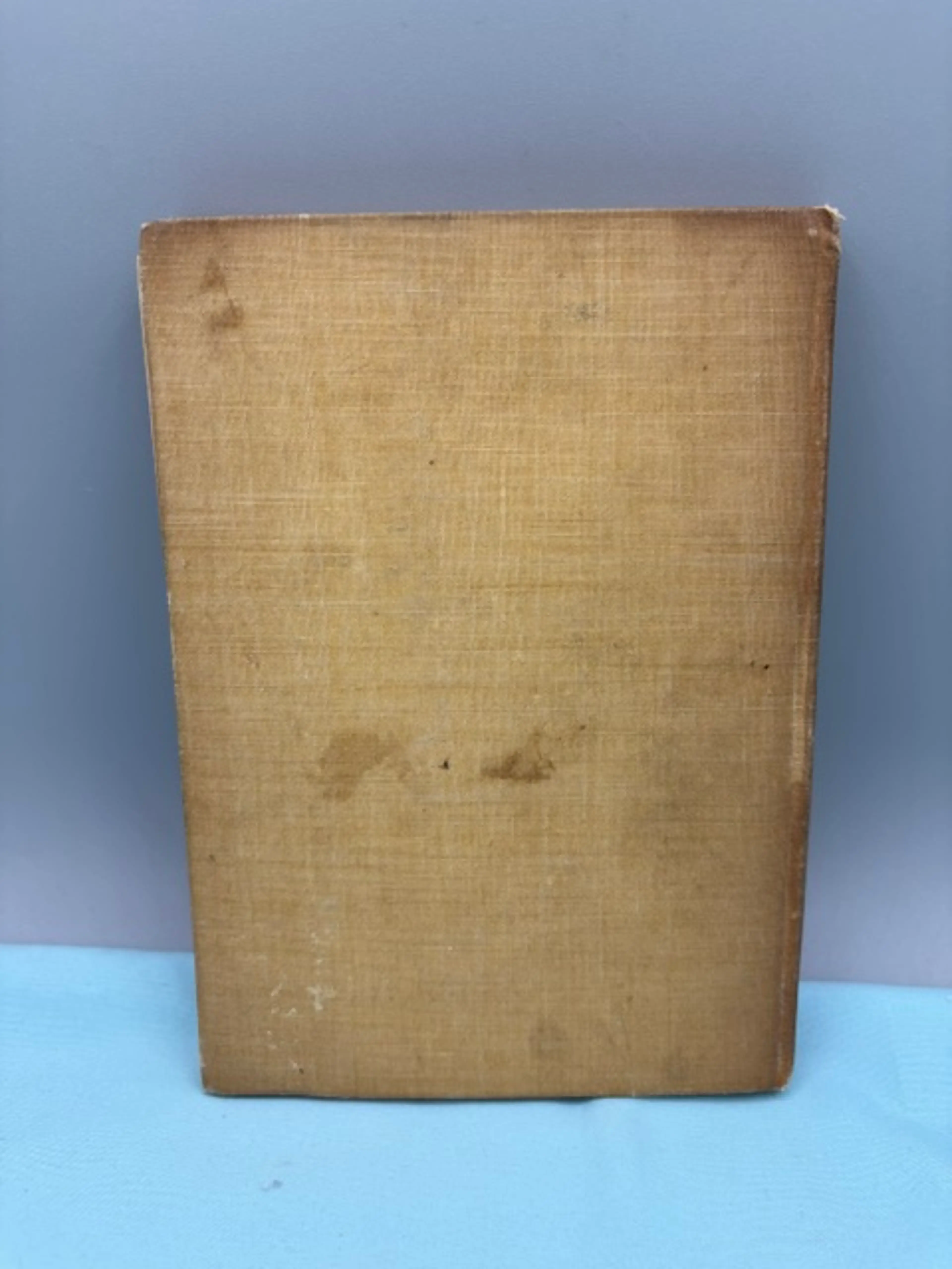 Image 3 of 3