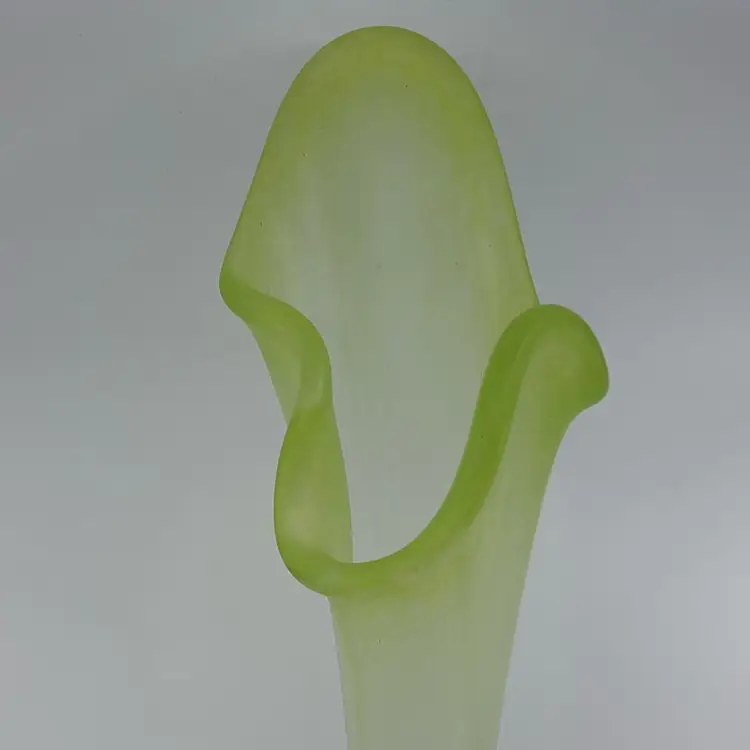 Kosta Boda Ulrica Hydman-Vallien Signed Funghi Vase 19” Original Box