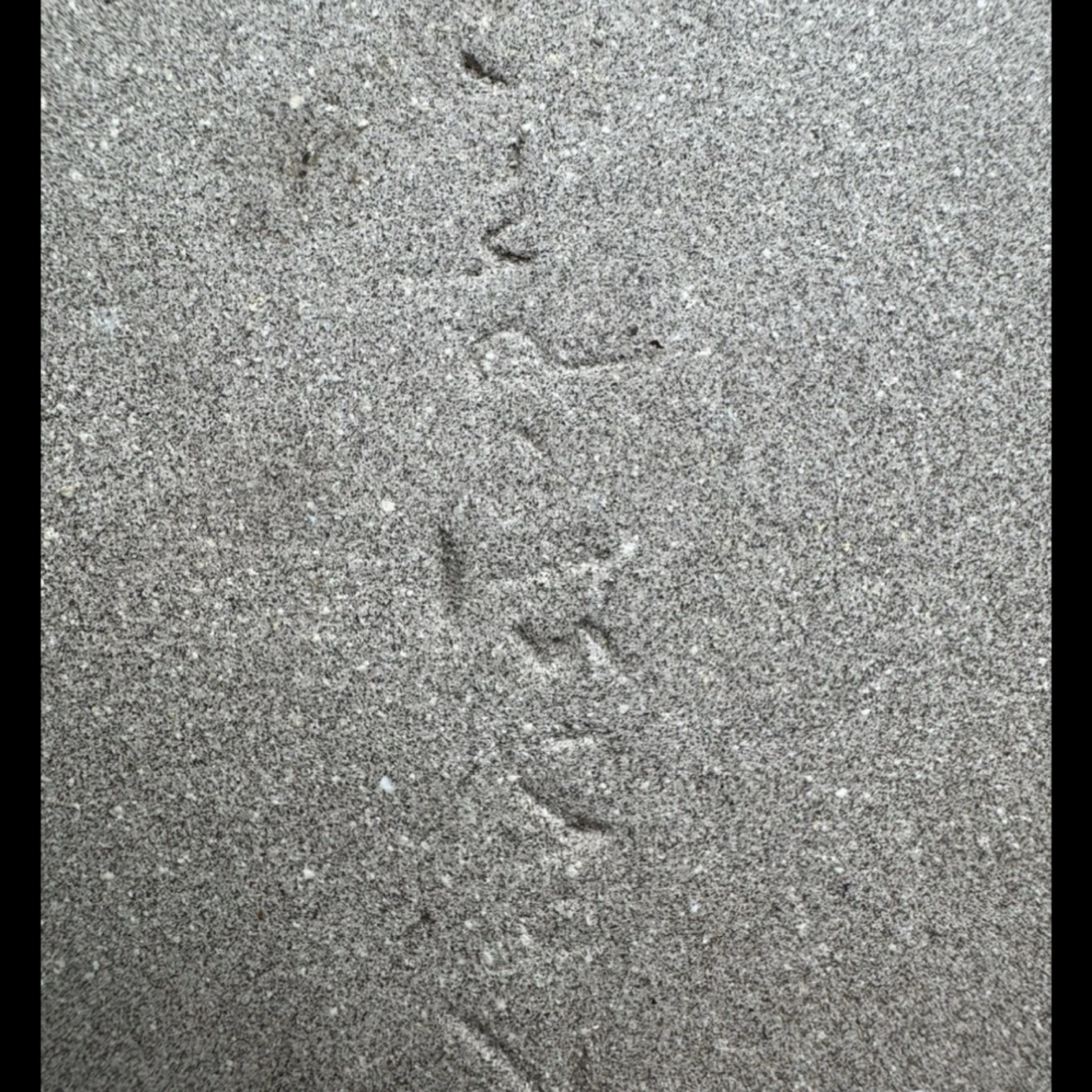 Image 5 of 12