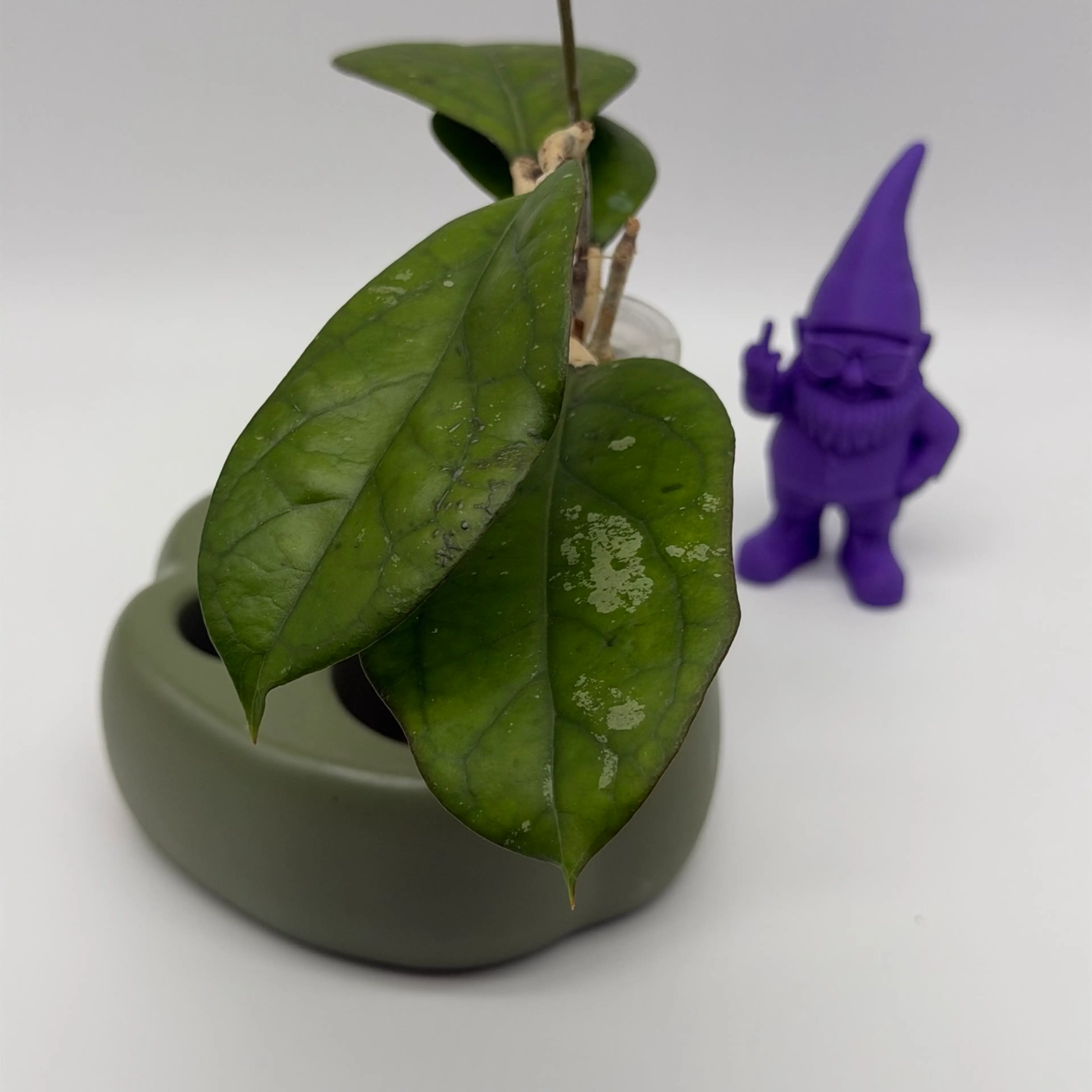 Image 3 of 4