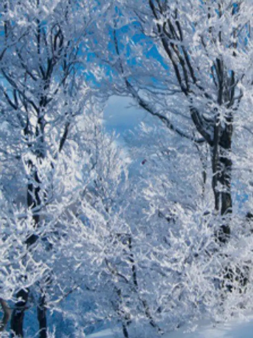 Livestream thumbnail