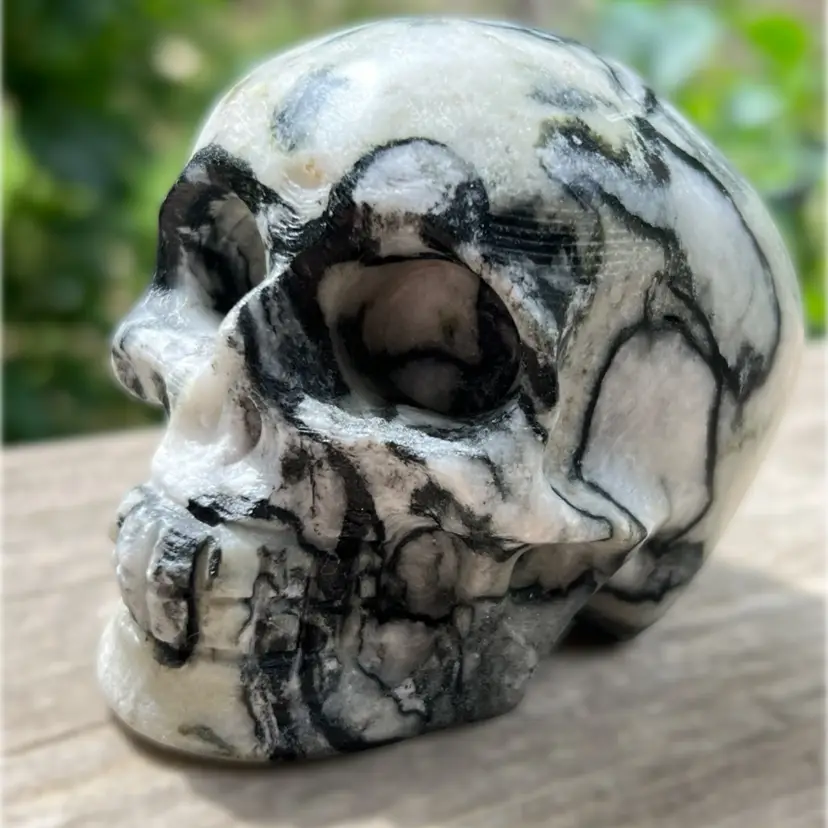 3” Tall Black & White Picasso Jasper Carved Stone Skull.