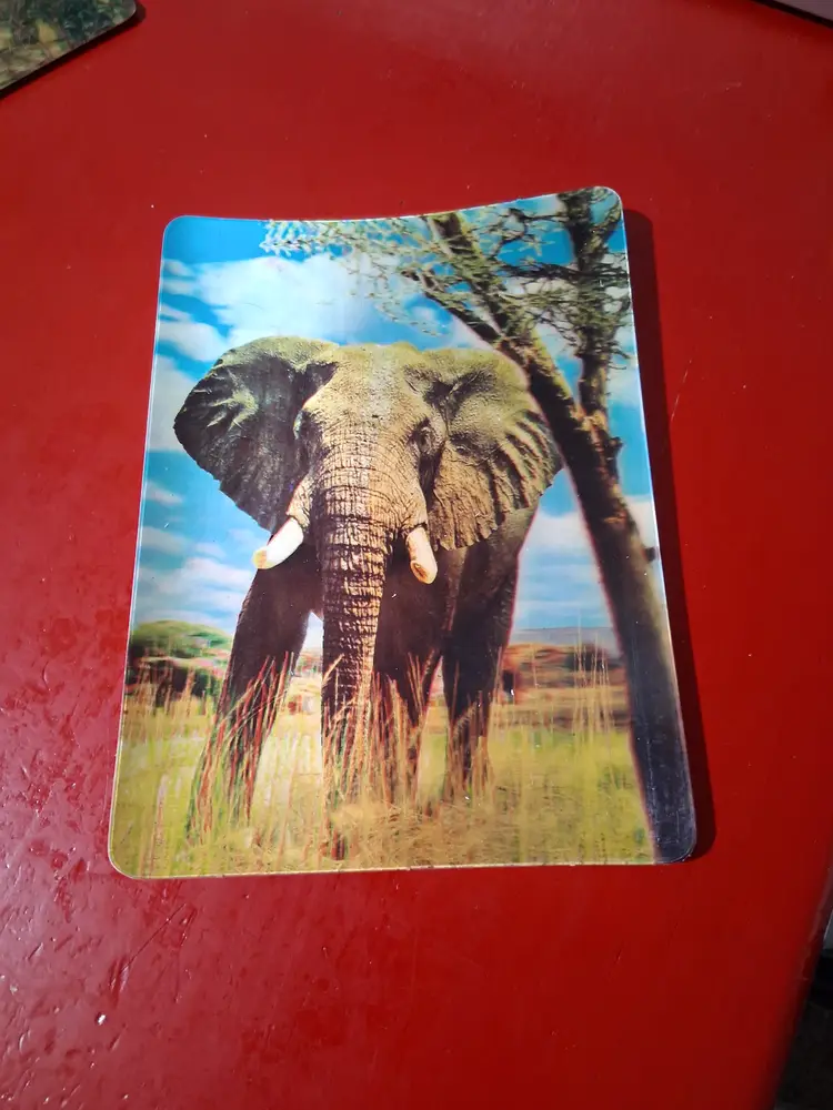 Vtg 3-D Collector Series Lot of 3 & 1 Multi Motion Collector Series Post Cards