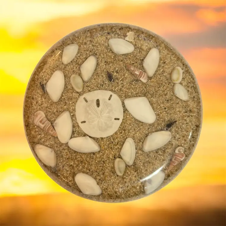 Vintage Sand Dollar Sea Shells Lucite Footed Trivet Nautical Beach 5.5" Round Design Gifts International