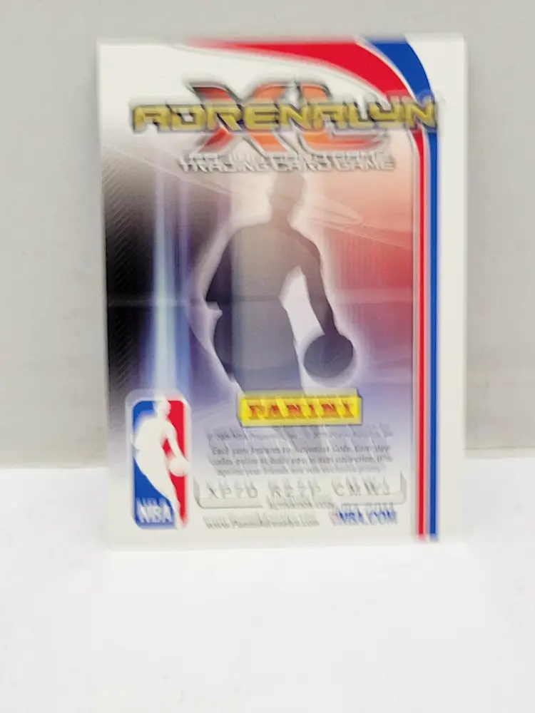 Ben Wallace #280 Panini Adrenalyn 2009