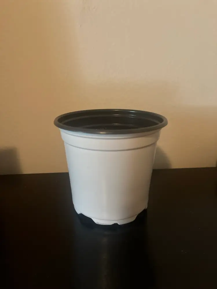 Pack Of 5 Starter Pots