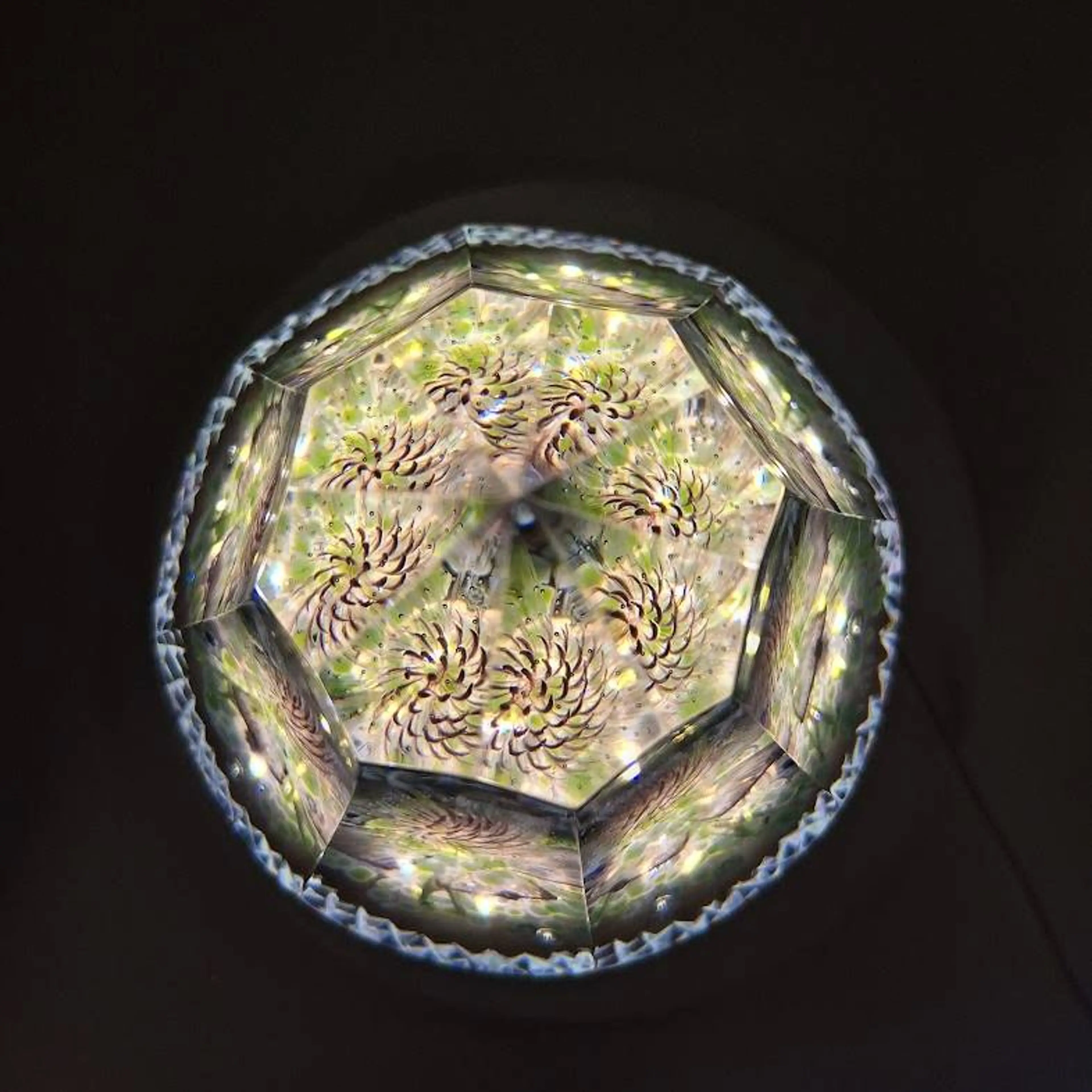 Image 4 of 17