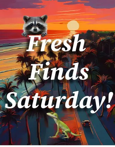 Shop My Latest Finds! 