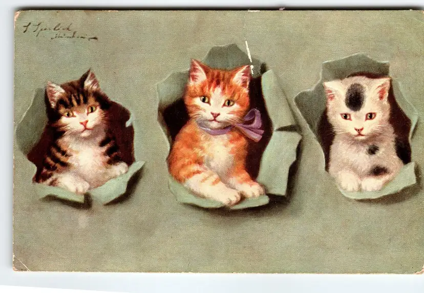 Calico Orange Kitten Cats  Postcard  German American Novelty 730 Sophie Sperlich