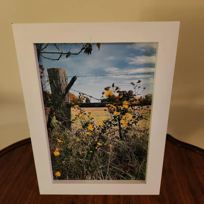 Photograph Of Landscape With Fence & Flowers, 5x7, Frame Not Included