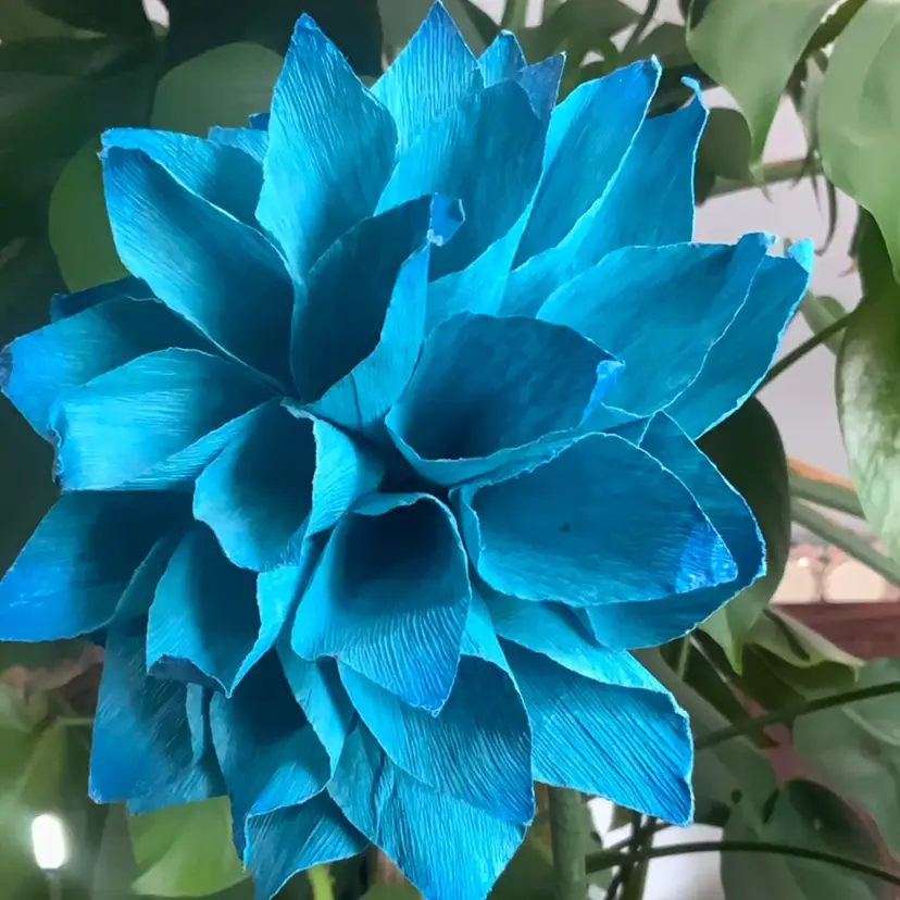 Handcrafted Turquoise Crepe Paper Flowers Some UV Reactivity Made By Me Blossom Is 6” In Diameter And The STEM Is Approximately 16” Long Can Fold To Shorten It