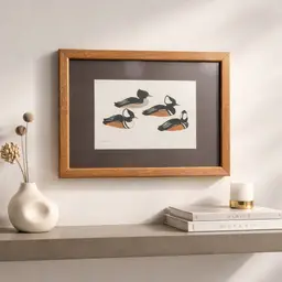 1981 Framed 9" x 11" W.Morgan Signed Print of Hooded Merganser Ducks