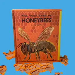 17. True Book of Honeybees / by John Lewellen : illustrations by... (Hardcover)