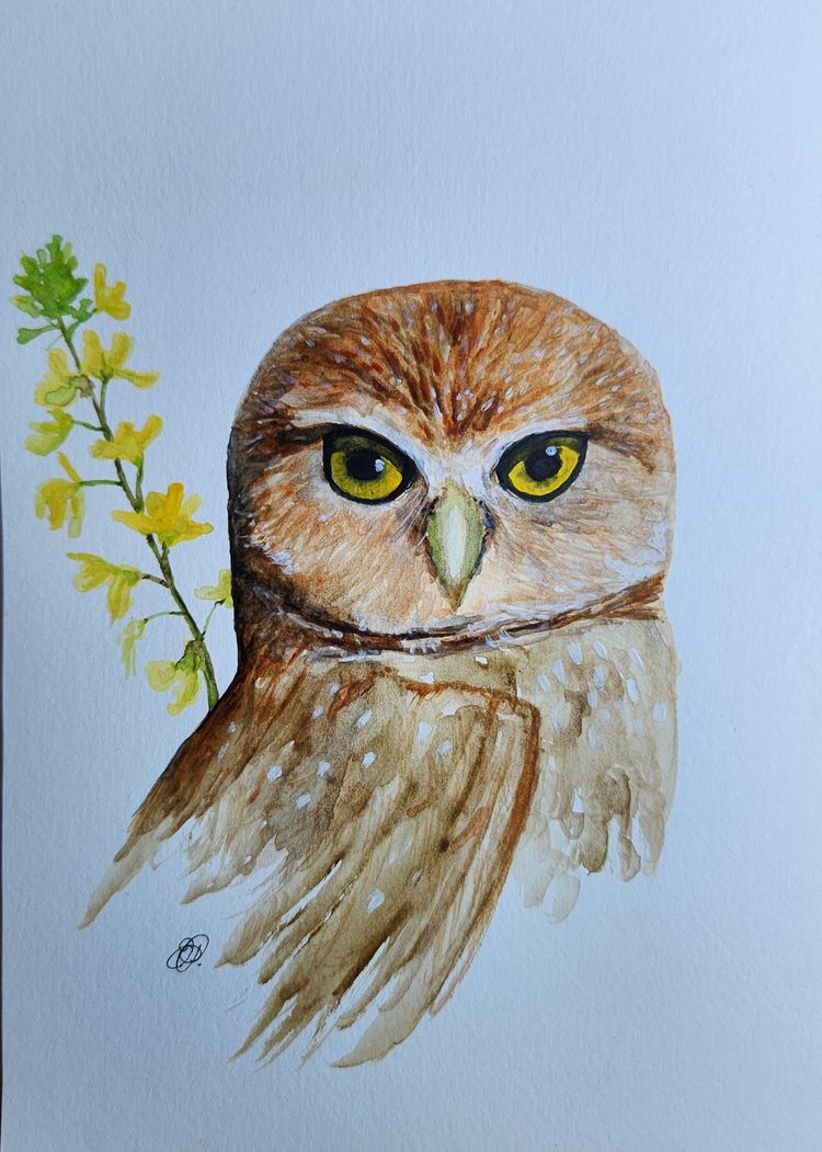 Burrowing Owl
