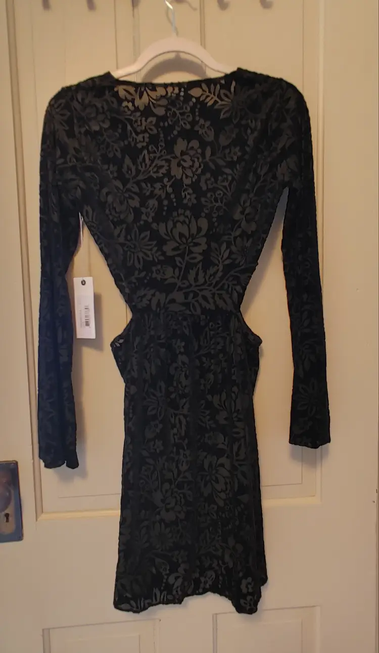 Dress- Brand: DV Dolce Vita. Size Small. NWT. Black sheer dress. Material: 68% nylon, 24% polyester, 8% spandex. No callouts.