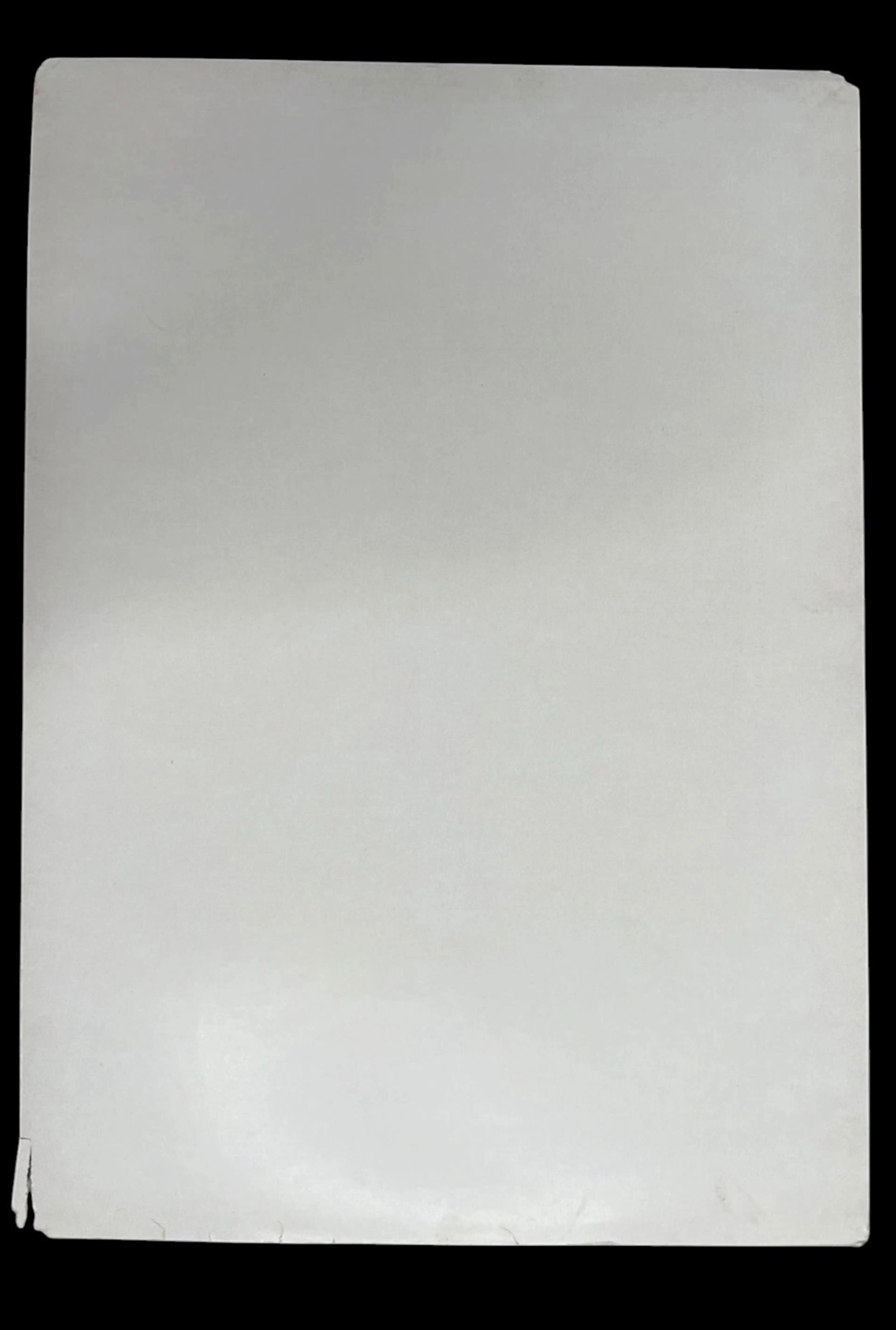 Image 5 of 8