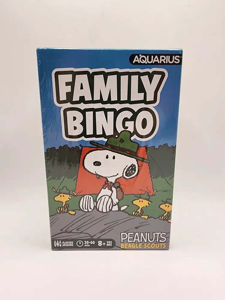 Peanuts Snoopy Beagle Scouts Family Bingo Game New Sealed