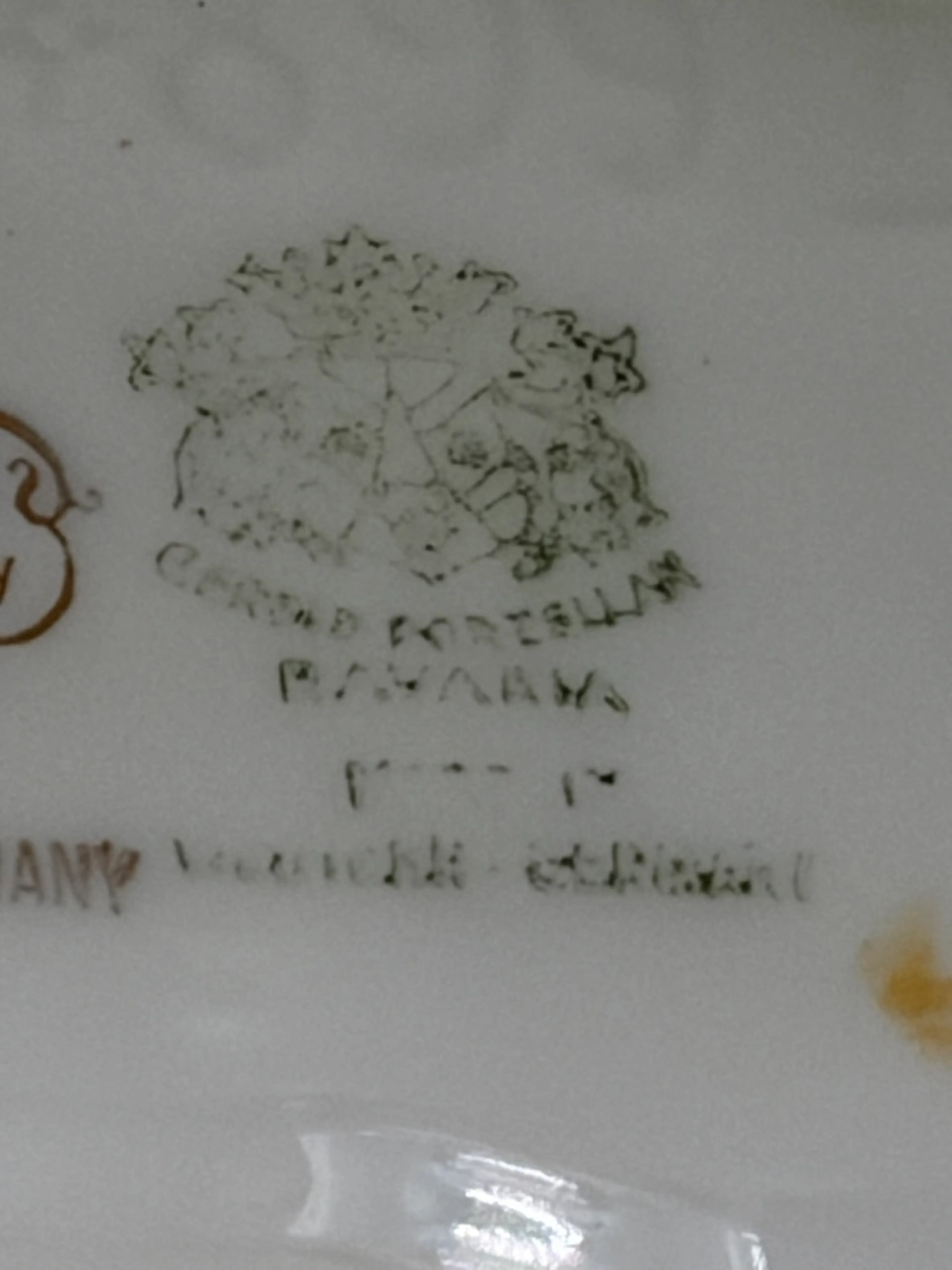 Image 5 of 8