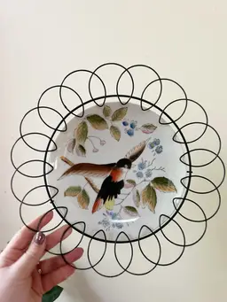 Vintage Hand Painted Decorative Bird Wall Plate In Frame