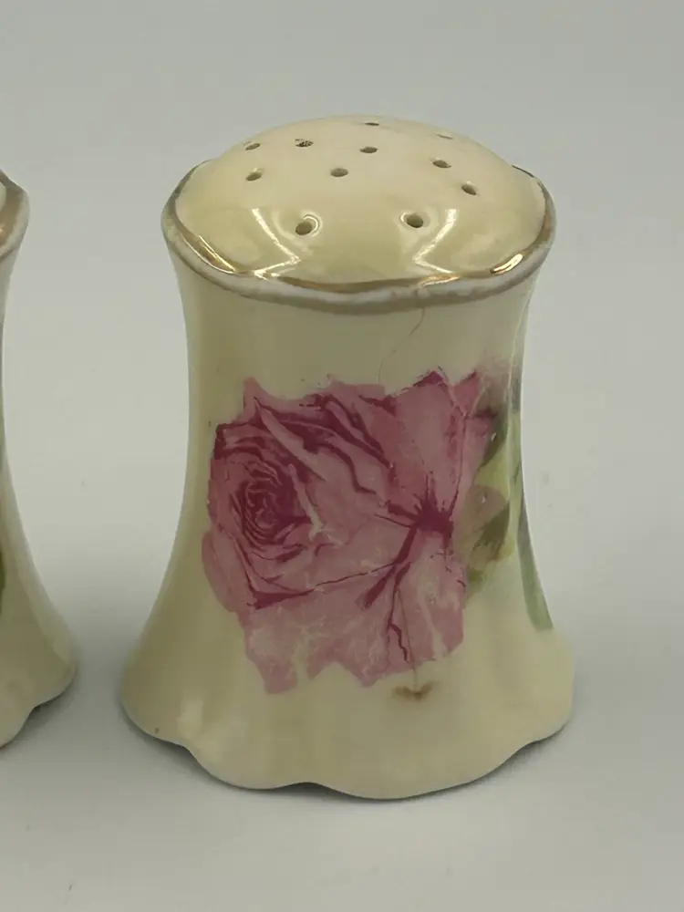 Antique OE&G Royal Austria Porcelain Pink Rose Gold Accent Salt & Pepper Shaker Set