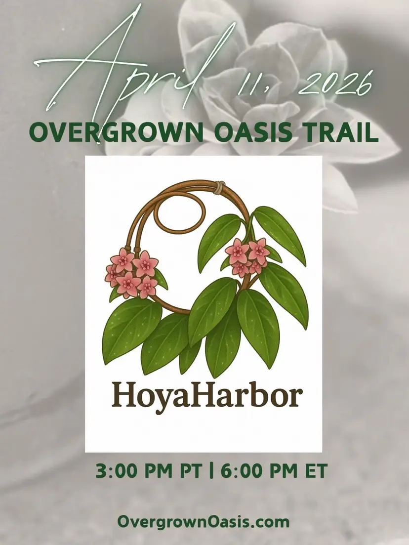 Livestream thumbnail