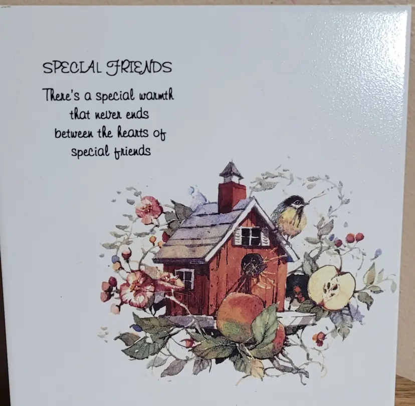 Ceramic Tile With Corkerd Back" Special Friends"