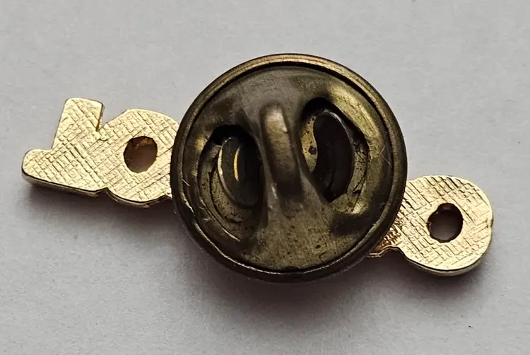 Vintage Toledo Ohio Pin