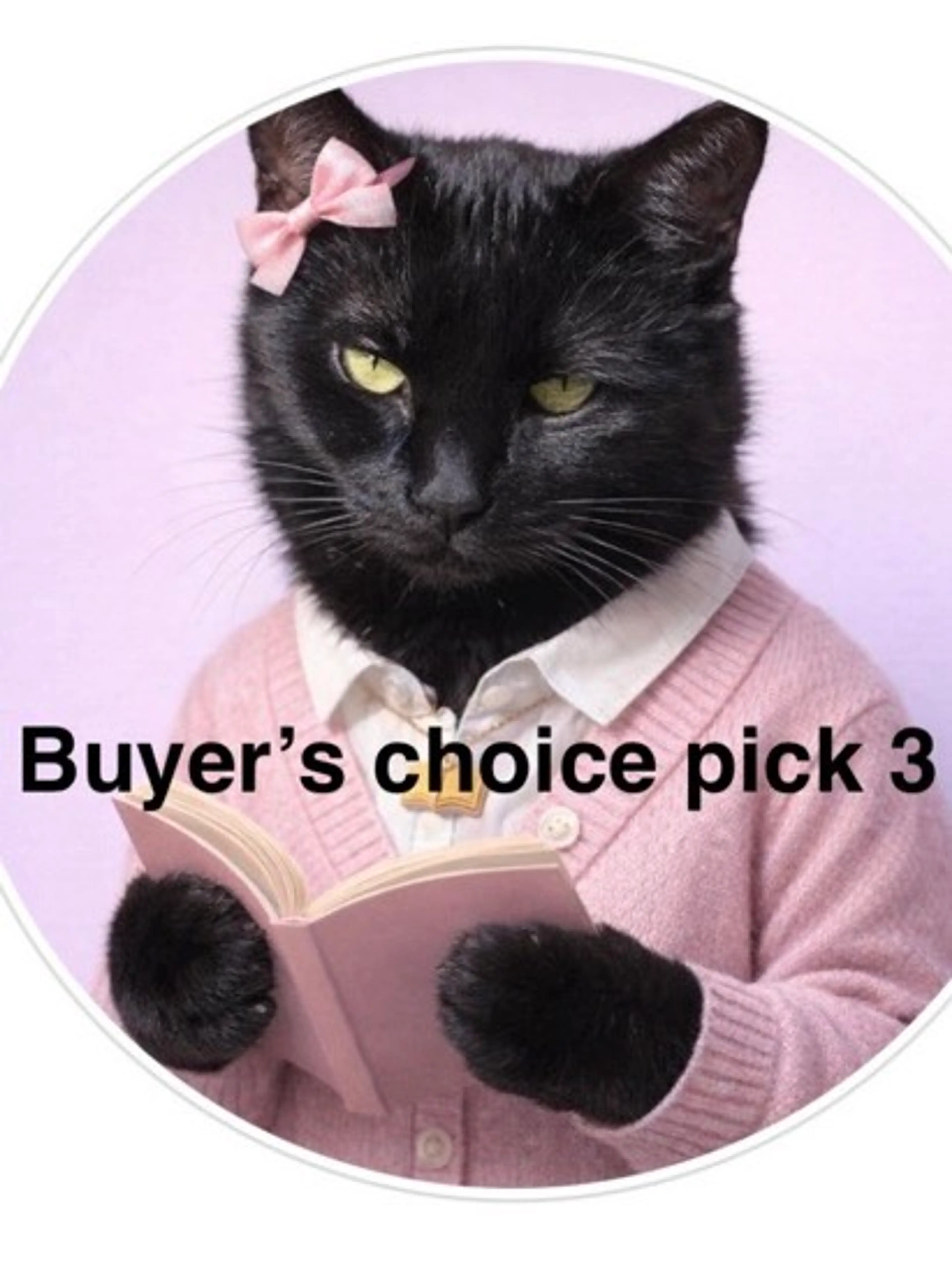 You Pick 3, One Price W/Ziggy My Cat