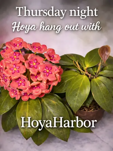 Let's Talk Shipping!