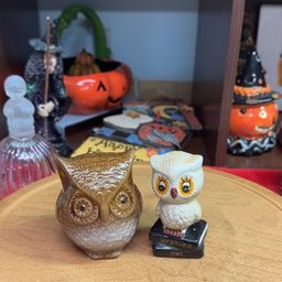 Owl Pair