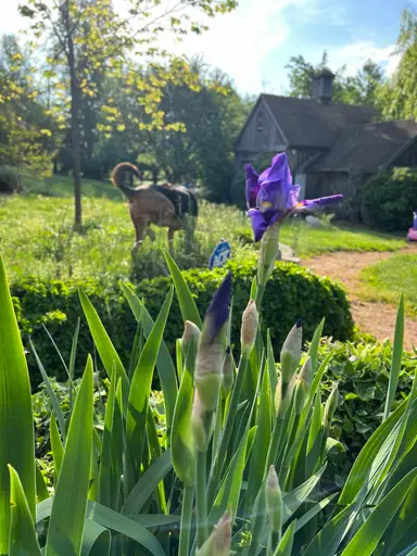 The Good Stuff On Niknax