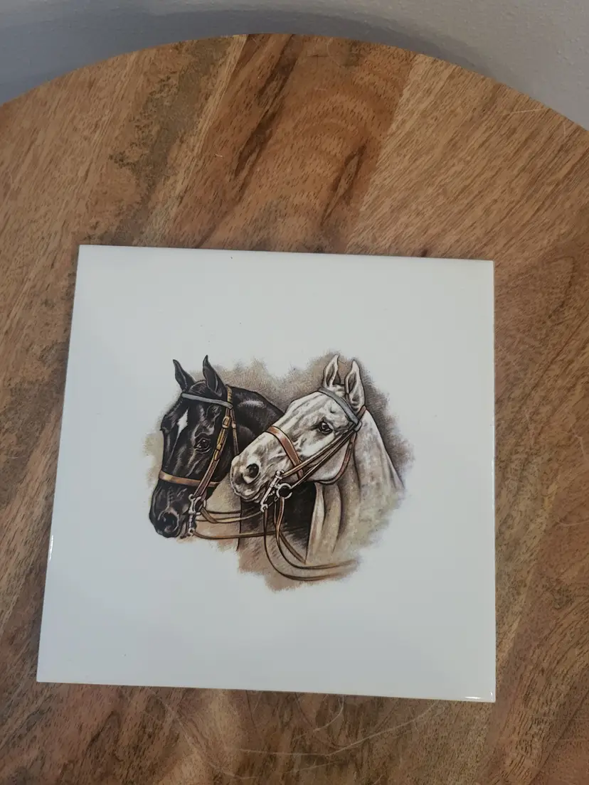 Ceramic Tile Horses Wall Art Decor Equestrian Western