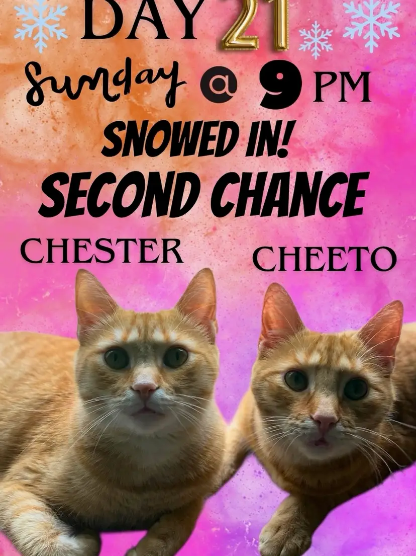 Livestream thumbnail