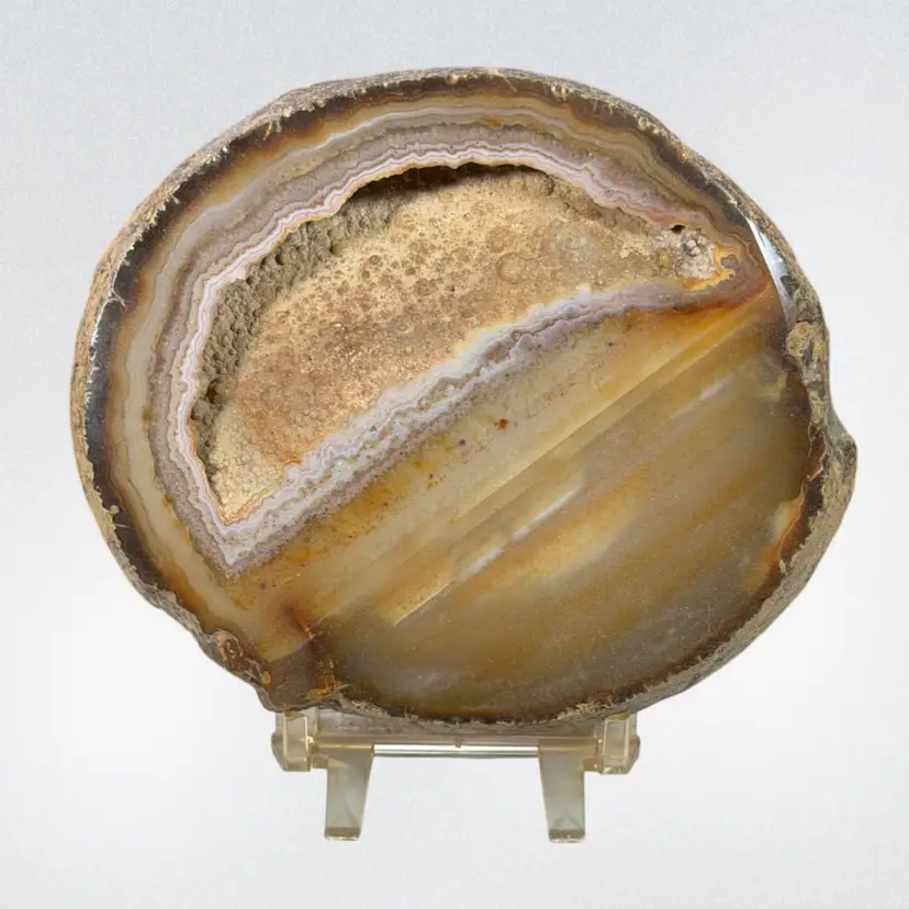 Large Natural Agate Slice Geode Specimen