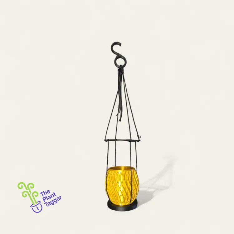 Anywhere Hanger Banger Pony Boy