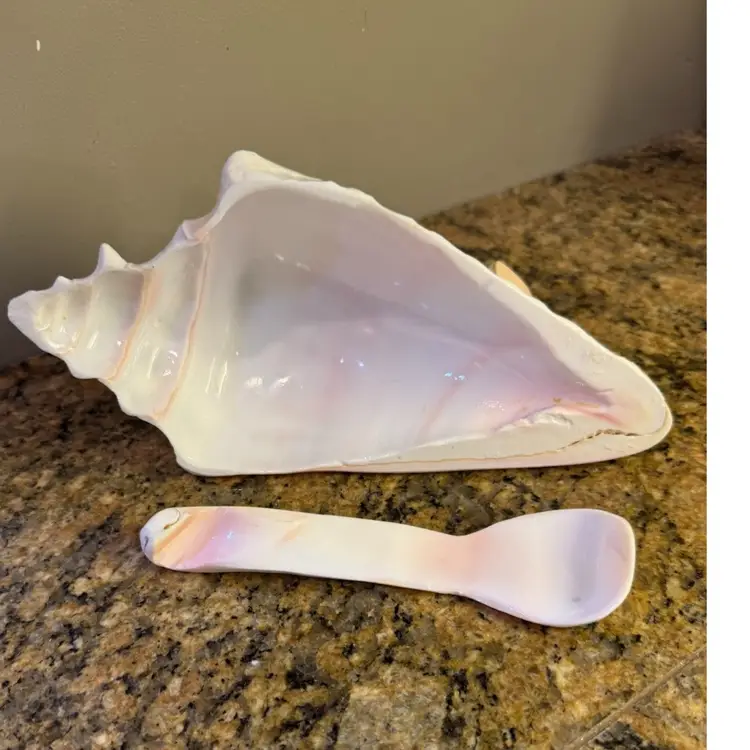 Hand Carved Conch Shell Snack Bowl And Spoon