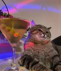 Buy Kathia Litty Drinks