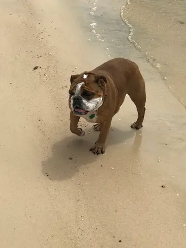 Rosey Invites You To The Sunday Show! Lots Of Great Items. Stop In And Say Hi!