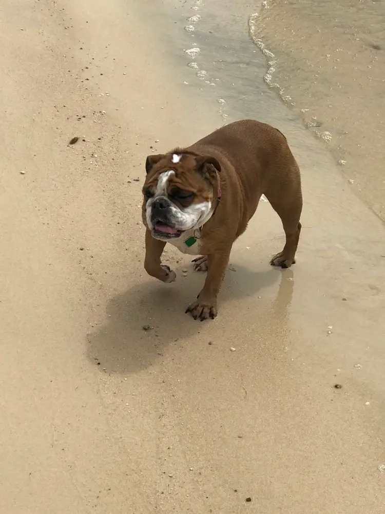 Rosey Invites You To The Sunday Show! Lots Of Great Items. Stop In And Say Hi!